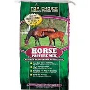 Top Choice Horse Pasture Mix Premium Forage Seed - 100371 | Blain's Farm & Fleet