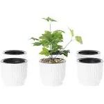 Gardenised Self Watering Planter