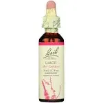 Bach Larch Flower Remedies, 20 ml