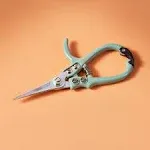 Modern Sprout Shears