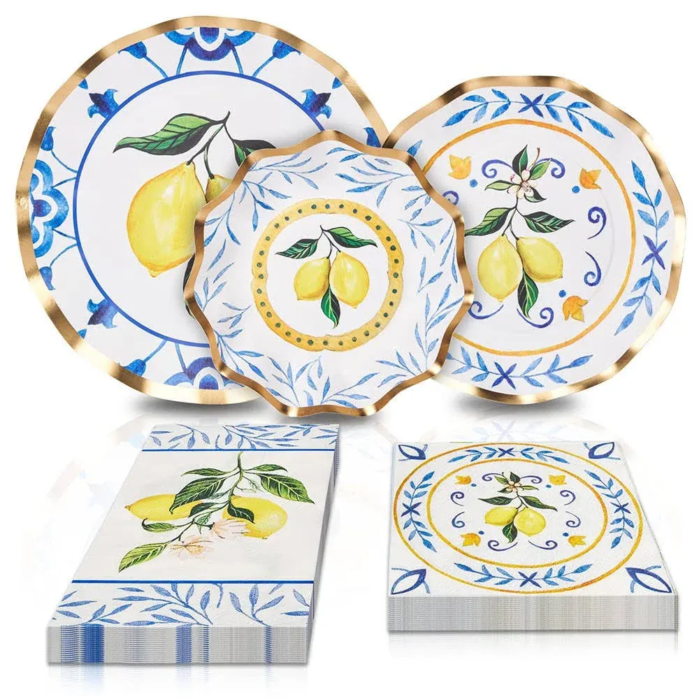 Sophistiplate Paper Table Setting, Elegant Disposable Paper Plates, 64 piece ...