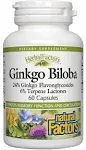 Natural Factors Ginkgo Biloba 60 Capsules