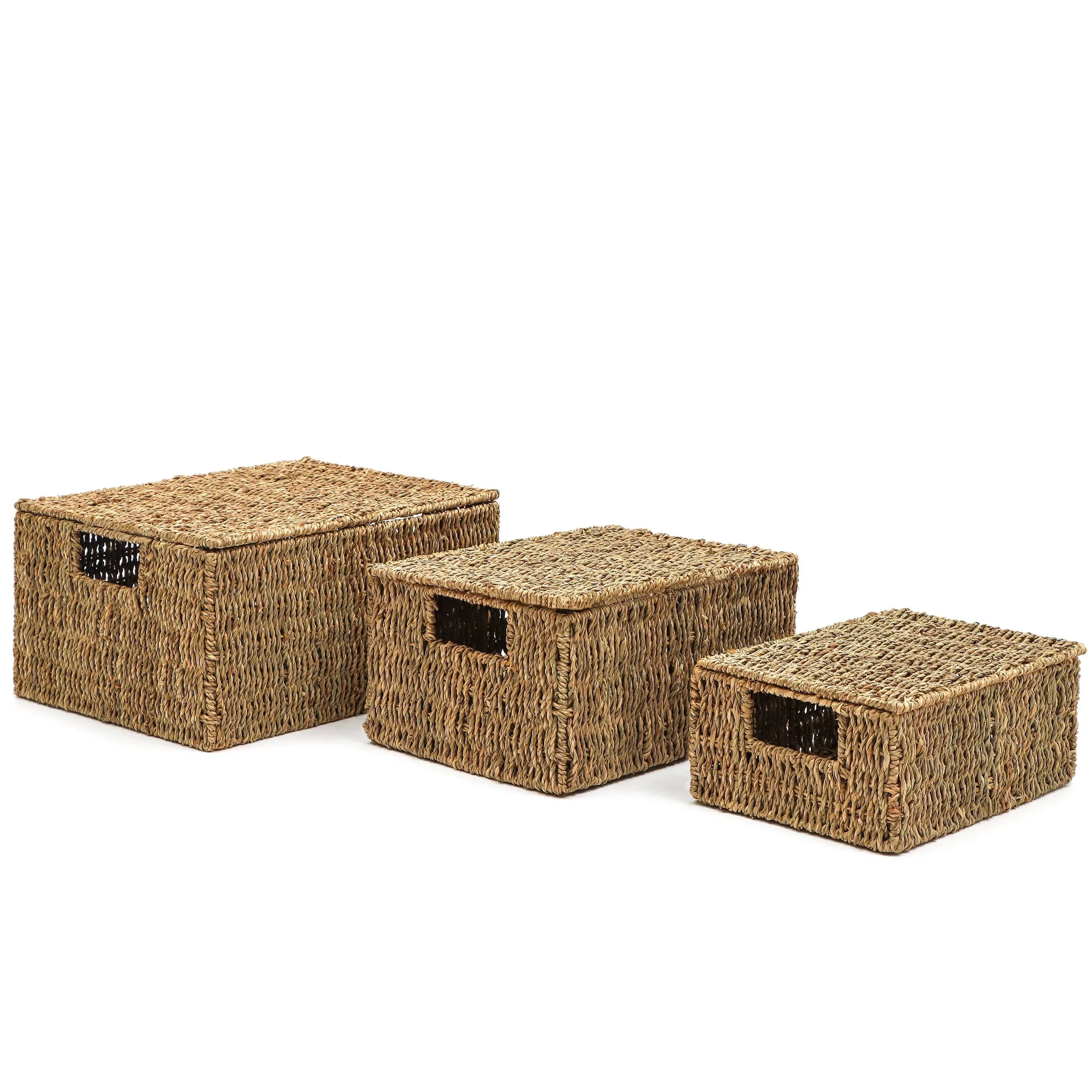 Trademark Innovations Set of 3 Rectangular Seagrass Baskets with Lids (Small)