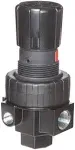 PARKER 06R113AC Air Pressure Regulator,Pipe Size 1/4&#034; 409X55