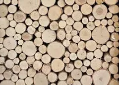 Wilson White Birch Fill-A-Space Logs