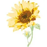 Sizzix Layered Clear Stamps 6PK Sunflower Stem by Olivia Rose, One Size