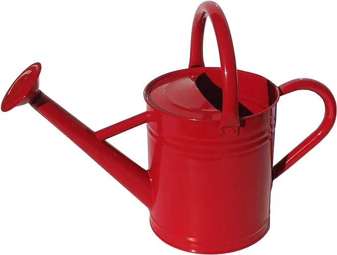 Vortex Watering Can Restructure & Energize Your Water