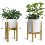 UppWell Adjustable Wood Plant Stand Indoor Bamboo Natural Wood / Wood / Single Pack