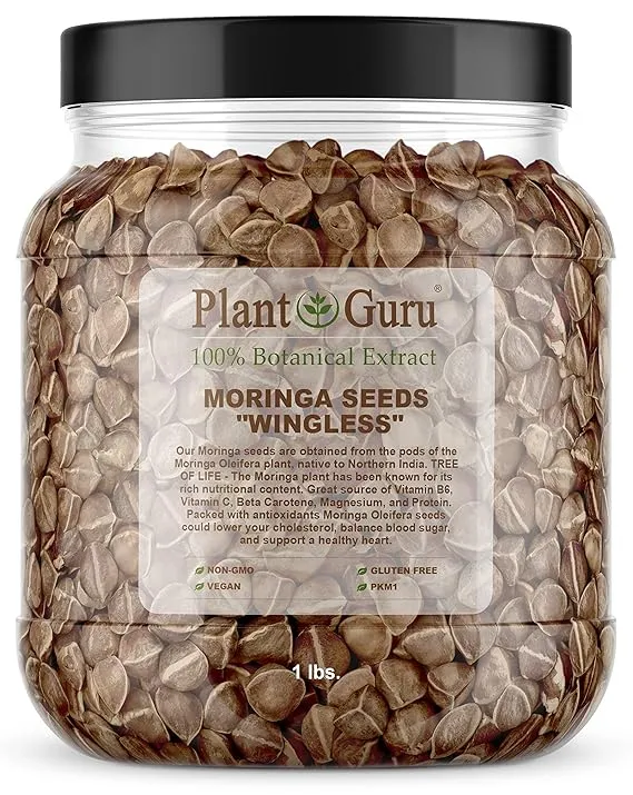 Moringa Seeds Wingless 1 lb. Wide Mouth Jar - Pkm1 Variety - Edible Snacking - Planting - Moringa Oleifera - Malunggay - Semillas De Moringa -