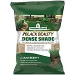 Jonathan Green Black Beauty Sun Shade Grass Seed