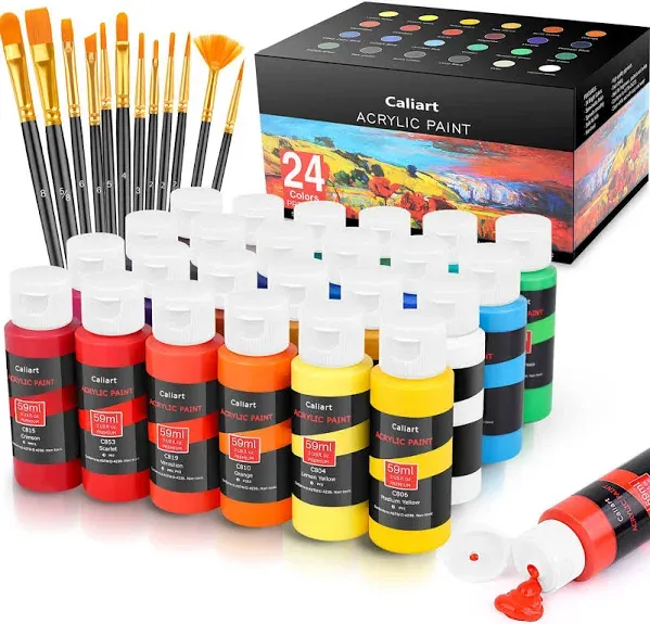 Acrylic Paint Set with 12 Brushes, 24 Colors (59Ml, 2Oz) Art Craft Paints Gifts 