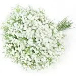 15 PCS Babys Breath Artificial Flowers Fake Babys Breath Flowers Artificial B...