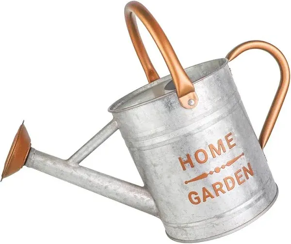 Metal Watering Can with Removable Spout, Galvanized Steel Plants Water Can for Women, Men and Kids' Outdoor or Indoor Gardening - Nice Flower Metal Watering Pot Gift & Decoration