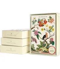 Cavallini &amp; Co. Foraging Boxed Notecards, Assorted