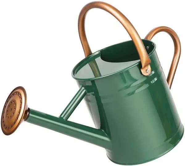 Metal Watering Can with Removable Spout, Galvanized Steel Plants Water Can for Women, Men and Kids' Outdoor or Indoor Gardening - Nice Flower Metal Watering Pot Gift & Decoration