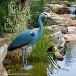 Aquascape 81030 Blue Heron Decoy