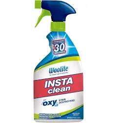 Woolite INSTAclean Stain Remover, 1742