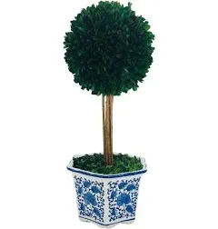 14" Naturally Preserved Boxwood Ceramic Pot Tree Topiary