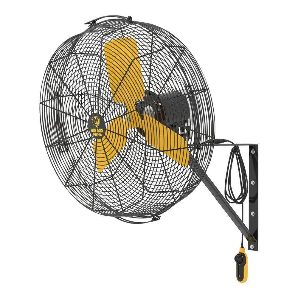 Big Ass Fans AirEye 24-inch Wall Mount Fan