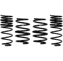 Dodge Charger Eibach Pro-Kit Performance Coil Springs