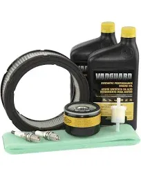 Briggs and Stratton 84004937 Vanguard Series Maintenance Kit