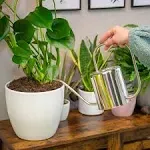 Esschert Design Stainless Steel Modern Style Watering Can