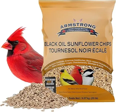 Armstrong Wild Bird Food Black Oil Sunflower Chips, 20 Pounds - for Northern Cardinals, American Goldfinches and Black-Capped Chickadees - Ideal for Outside Feeders