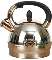 Stainless Steel Whistling Tea Kettle with Metal Capsulated Bottom for Quick H...