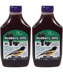 Songbird Essentials 20 oz Birdberry Jelly