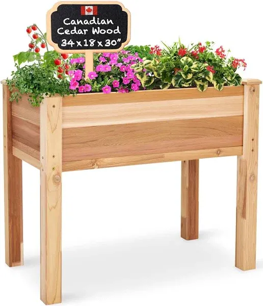 Jumbl Raised Canadian Cedar Garden Bed | Elevated Wood Planter for Growing Fresh