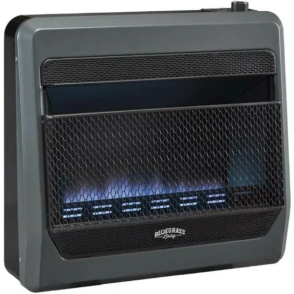 Bluegrass Living Natural Gas Vent Free Blue Flame Gas Space Heater 30000 BTU