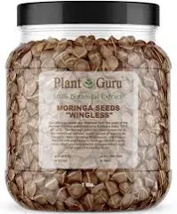 Moringa Seeds Wingless 1 lb. Wide Mouth JAR Pkm1 Variety