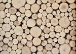 Wilson 8&quot;-9&quot; Decorative White Birch Fill-A-Space Logs, Natural Home Décor - 1.5&quot;-4&quot; Dia. (1 Sq. Ft)