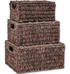 Trademark Innovations Rectangular Seagrass Baskets with Lids Set of 3