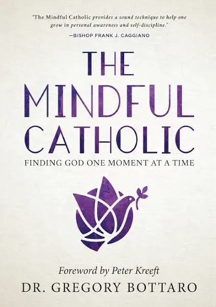 The Mindful Catholic: Finding God One Moment at a Time (Hardback or Cased Book)