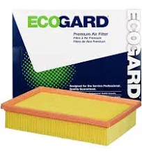 Air Filter Ecogard XA10596