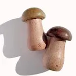 Cottage Core Mushroom Kitchen Decor - Tiny Salt and Pepper Shaker Set