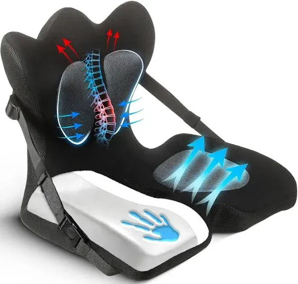 Lifted Lumbar Seat Cushion