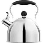 Generic Whistling Tea Kettle