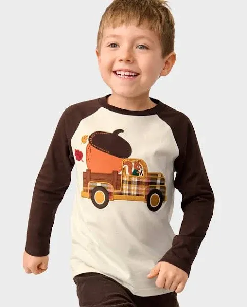 Gymboree Baby Boys' Embroidered Graphic Long Sleeve T-shirt