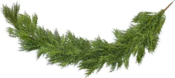 Vita Domi Faux Cedar Garland