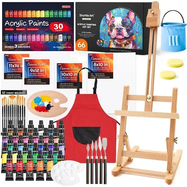 66 Pack Acrylic Paint Set