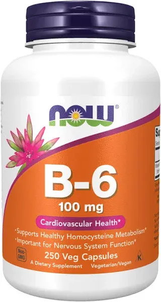 Now Foods Vitamin B-6 100 mg