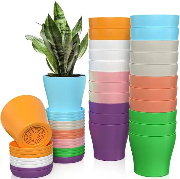 24pcs 3.75" Colorful Plant Pots