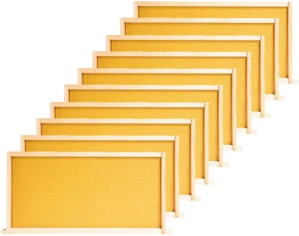 POLLIBEE Deep Brood Bee Hive Frames and Wax Foundations,10 Pack Honey Bee Frames with 100% Beeswax Coated Food Grade Foundation Sheets, Beekeeping Supplies,9-1/8-Inch (Yellow)