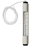 Pentair R141036 127 Tube Thermometer with ABS Case and 3-Feet Cord