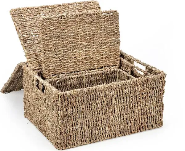 Trademark Innovations Set of 3 Rectangular Seagrass Baskets with Small, Lined 