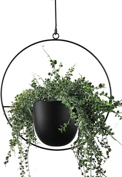 Abetree Hanging Planter for Indoor Outdoor Plants Metal Mid Century Minimalist Wall and Ceiling Hanging Plant Pot Holder for Home Décor