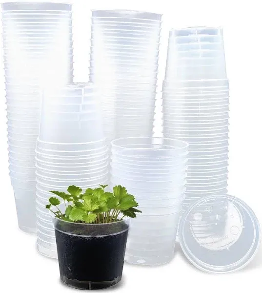 2.5&#034; Clear Seeding Pots 100-Pack Round for Seeds Starter 2.5 inch Clear-100p