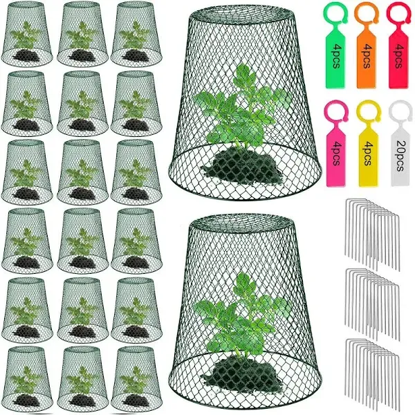 Chicken Wire Cloche Plant Covers - Garden Plant Cloche Metal Heavy Duty Plant Protectors from Animals for Keeping Bunnies Chicken Squirrels Birds Other Out (10, Green)